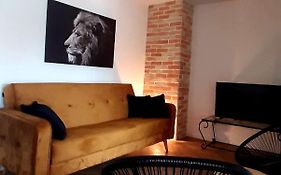 Ric Apartment Budva